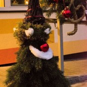 ������� ����, ����� � �������� ��������� � �����������