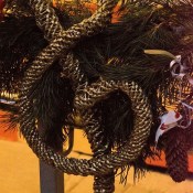 ������� ����, ����� � �������� ��������� � �����������