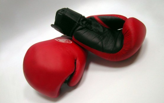 ����������: ������ � ������ ������������ � ���