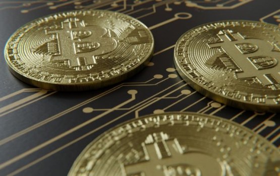 ���� ���������� ����������� �� ����� ������ �� 17-30%