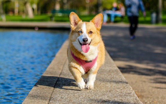 �������������� ���� �������� ����� ������������� ��� �����