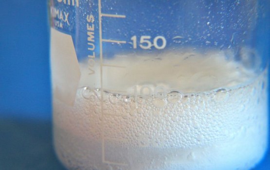 � ������ �� ����� ������� ������� ������������ �������� � "��������"