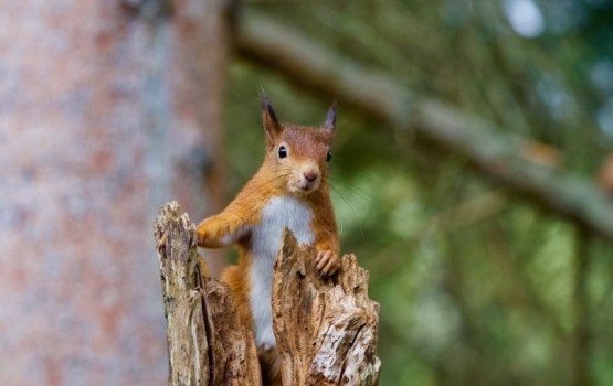 ��������� �������� 2018 ���� � ������: � ������ ����������� ����� � ��