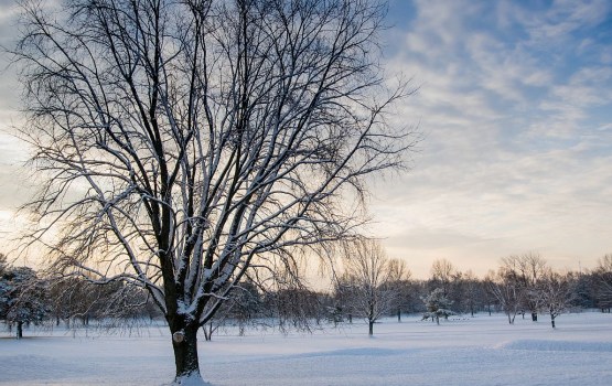 �������� ����� ����������