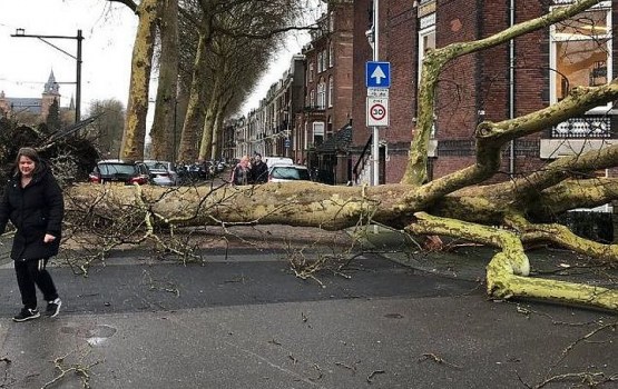 ��-�� ������� � �������� ������ ������� ������ ������� (�����)