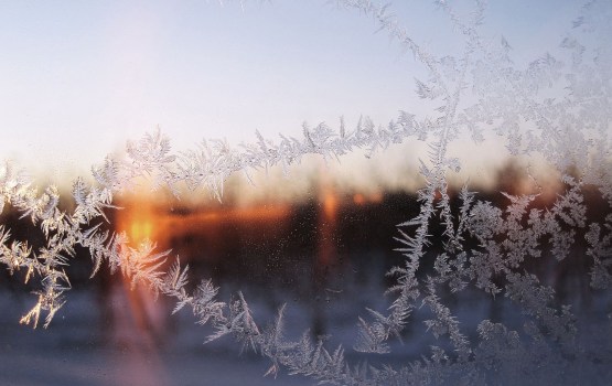 � ������ ������� ��������� ������