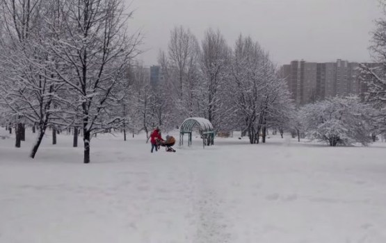 �� ������ ��������� ��������� ���� (�����)