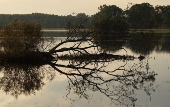 � ��������� ��-�� ���������� ���������� ������ �����