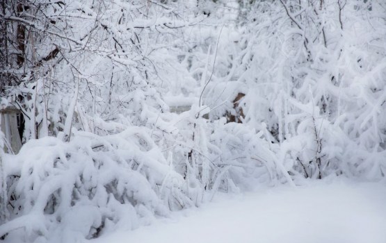 � ��������� ��� ����� ��������