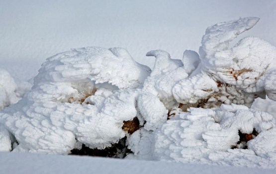 ��������� ���� ������� ����� ��������