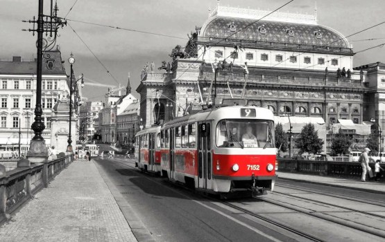 Как не допустить принудительной высадки детей из общественного транспорта