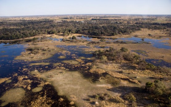 ���-5 ������ ����� ���� � ��� ��� �������