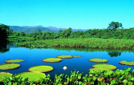 ���-5 ������ ����� ���� � ��� ��� �������