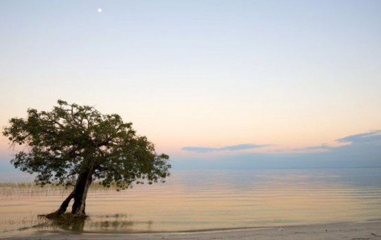 ���-5 ������ ����� ���� � ��� ��� �������