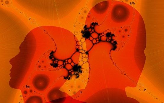 ������ �������� ������������ �� ����� ���� �������� �������