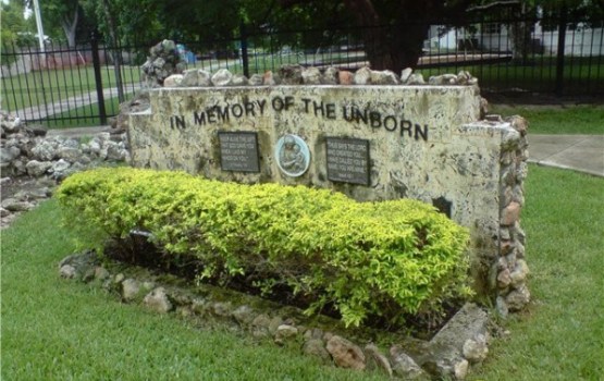 25 ����� � ���� ����������� �����