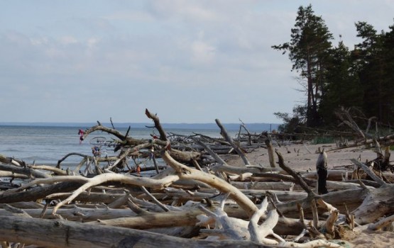 ��������, �� ����. 10 ������ �������� �� ���������� ���� (��� ������)