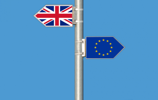 Британии предрекли наплыв преступников после Brexit