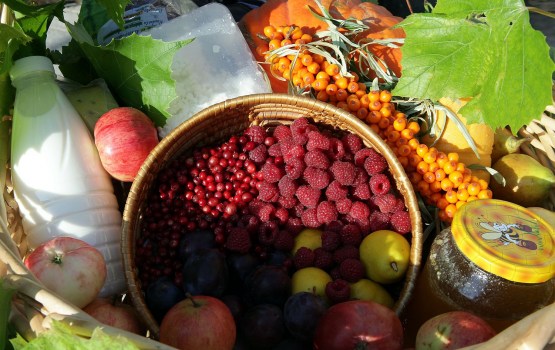 �����: �������� ��� ������ ������������ ������������ ������� ���������