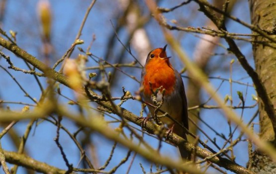 � ������������ ��������� ������ �� ������� � ����������