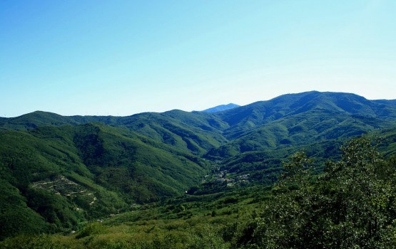 �����, ��� ��� ��� �������� �� ������� � ����������