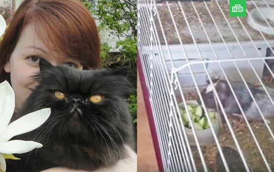 ���� ��������� ���������� ��������� ������� � ���������