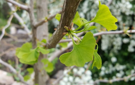 � ����������� ��������� +23 �������, � ������� ���������� �� +13