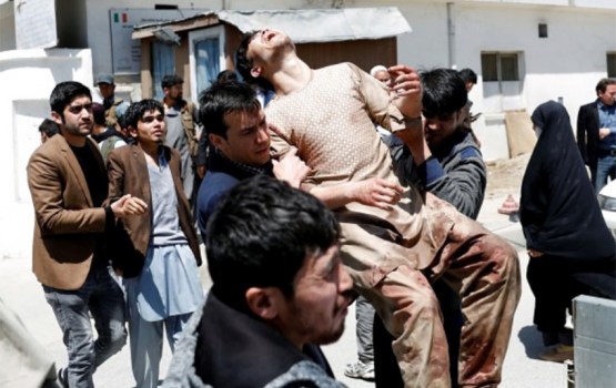 ����� � ������: 48 ��������