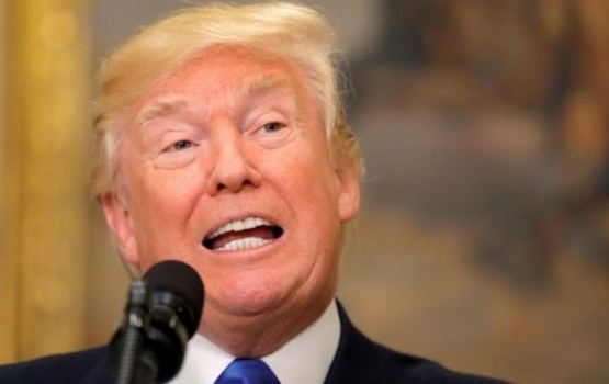 Трамп подарит Макрону кусок обивки стула в ответ на дерево с севера Франции