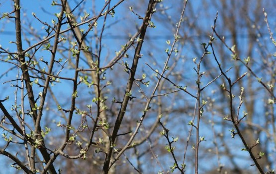 � ����������� ��������, �� �������� ������ �����