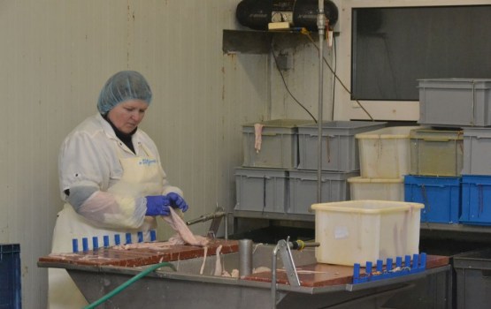 ������������ SW Kover ���� � �����