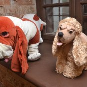 �������������� ����� ������� ����������� �������