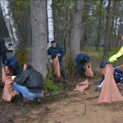 DAUTKOM вышел на толоку