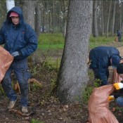 DAUTKOM вышел на толоку