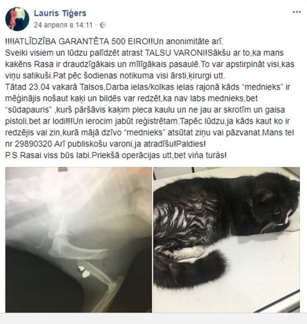 ������ ����� ���� �������, ������� ���������� ��� ��������