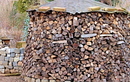 ������: � �������� �� ������� ����