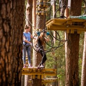 ���������� ���� ��������!