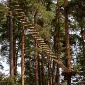 ���������� ���� ��������!