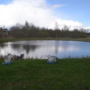 ������ �� ����������