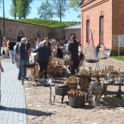 �������� �����: ������ ���� �� �����