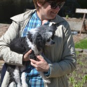 �������� �����: ������ ���� �� �����