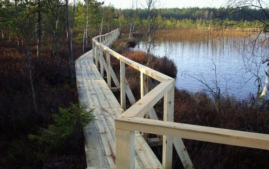 ������������ �� ��������: 12 ����������� ��������� ���� 