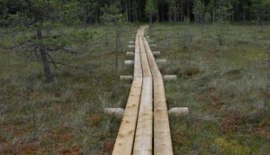 ������������ �� ��������: 12 ����������� ��������� ���� 