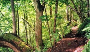 ������������ �� ��������: 12 ����������� ��������� ���� 