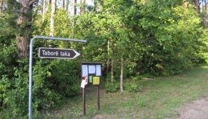 ������������ �� ��������: 12 ����������� ��������� ���� 