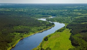 ������������ �� ��������: 12 ����������� ��������� ���� 