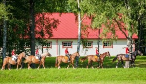 ������������ �� ��������: 12 ����������� ��������� ���� 