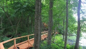 ������������ �� ��������: 12 ����������� ��������� ���� 