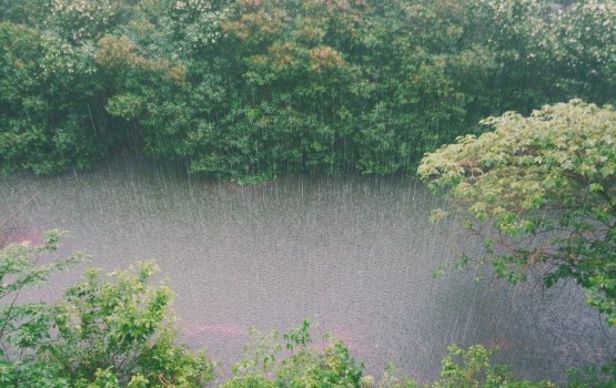 ���������: �� ������ ��������� �������� �����