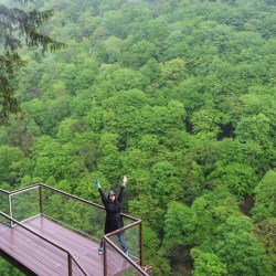 ������ ���������� � �����